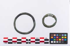 Foto von Bronzering (NHMW-PRAE-002311)